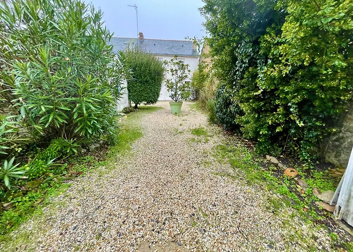 Rez De Chaussée, Place Du Marché, à Pied Pornichet